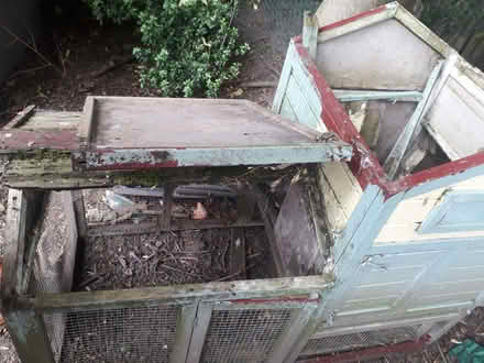 Photo of free chicken coop (Frankwell SY3) #1