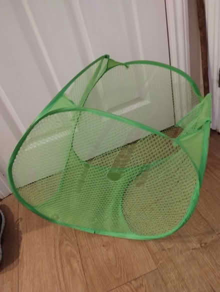 Photo of free Green pop-up basket (Central Braintree) #1