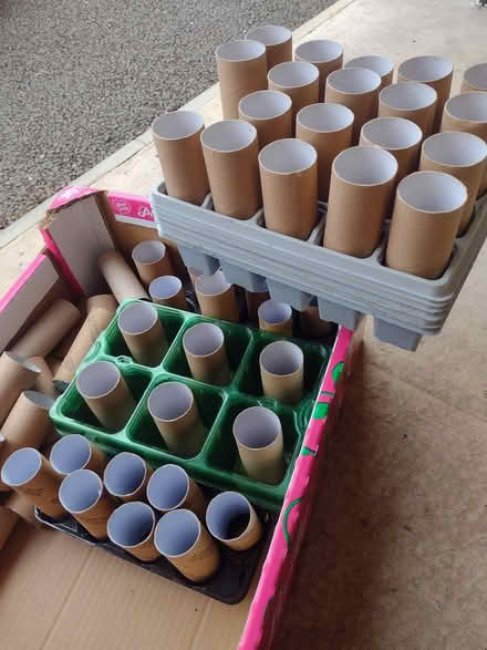 Photo of free Seed trays and clean toilet rolls (Warwick CV34 6) #1
