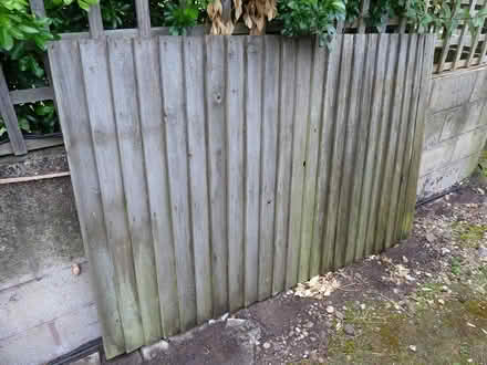 Photo of free Fence Panel – Feather Edge (Cookhill B49) #1