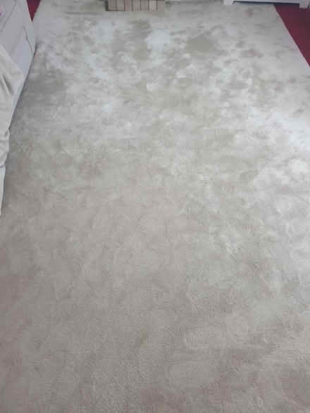 Photo of free Beige natural piece of carpet (Kenley) #1