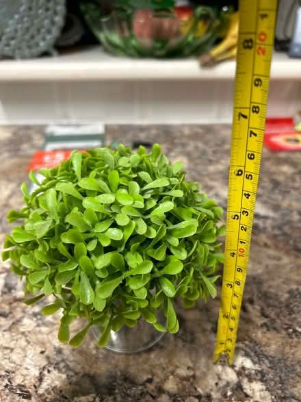 Photo of free Faux plant (Hastings. Broom grove TN34) #1