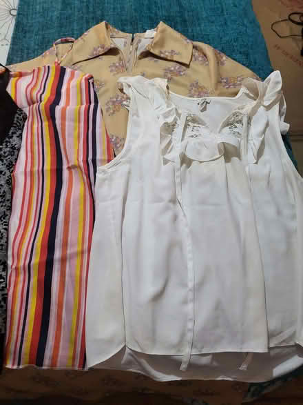 Photo of free Box of ladies clothes size 14 (Elmdon Heath B92) #4