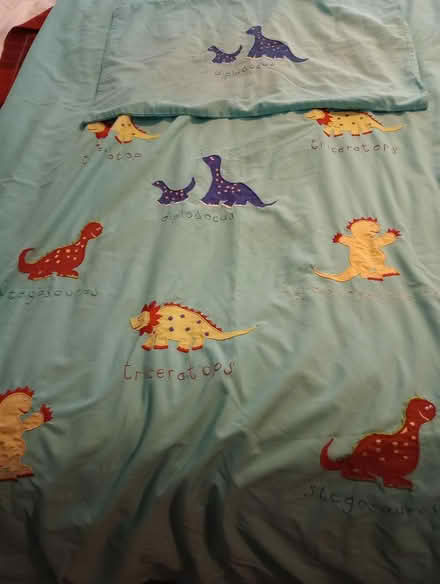 Photo of free Dinosaur Single bedding set (Llanferres, Nr.Mold. CH7) #1
