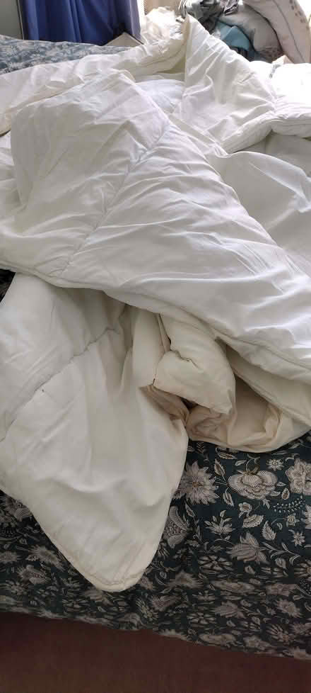 Photo of free Single duvets x 2 (High Town LU2) #1