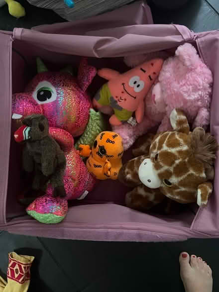 Photo of free Stuffed Animals (Norwalk, CT) #1