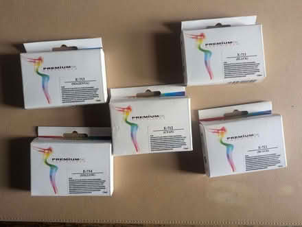 Photo of free New (non-branded) ink cartridges for some Epson printers (Chalkwell SS9) #2