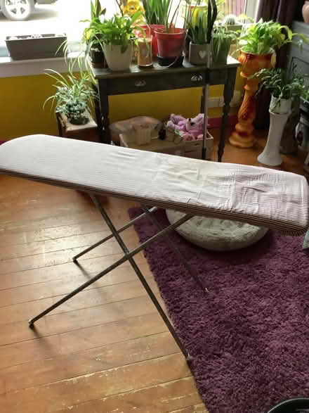 Photo of free Ironing board (Gracemount EH17) #4