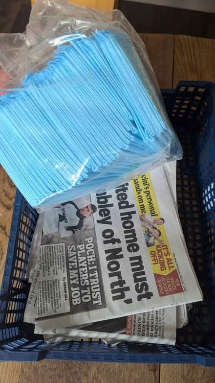Photo of free Puppy pads (Earls Barton, NN6) #1