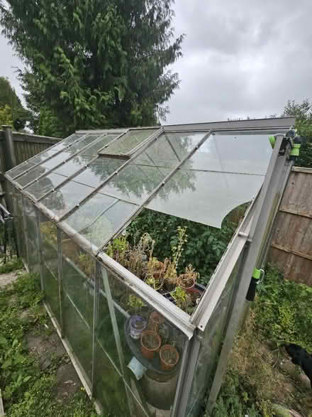 Photo of free Greenhouse (Burghfield Common (RG7)) #3