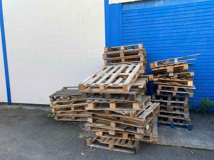 Photo of free Used pallets (SG8) #1