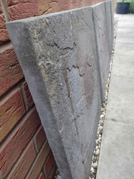 Photo of free Large Grey Garden Slabs (Warwick CV34 6) #1
