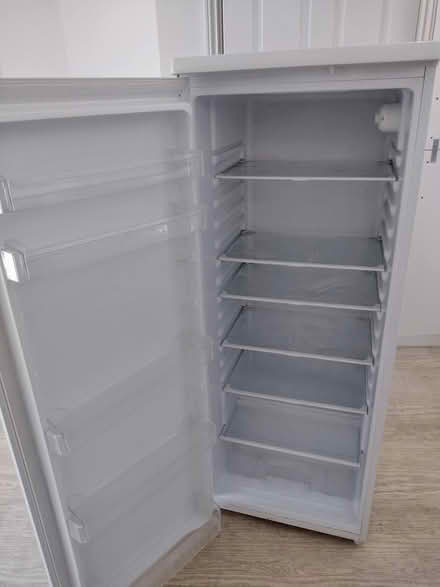 Photo of free Tall larder fridge (Warwick CV34 6) #4
