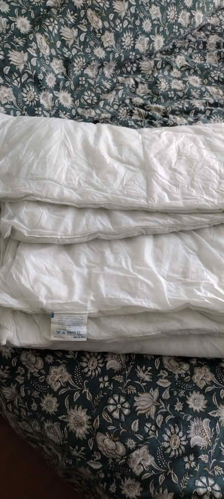 Photo of free Single duvets x 2 (High Town LU2) #2