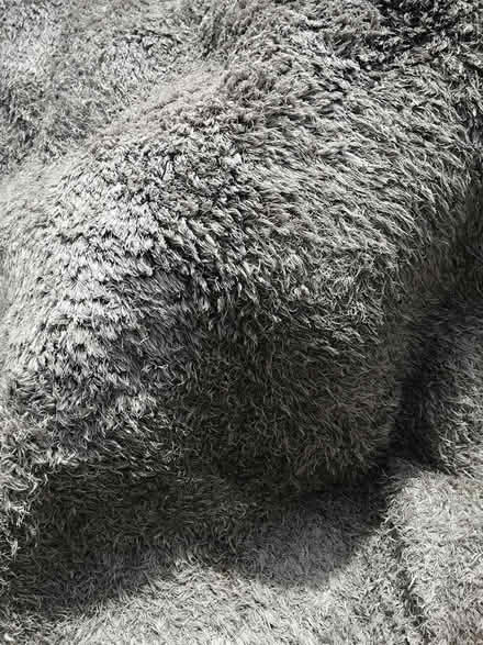 Photo of free Rug (Gillingham Kent) #2