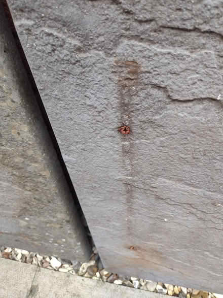 Photo of free Large Grey Garden Slabs (Warwick CV34 6) #3