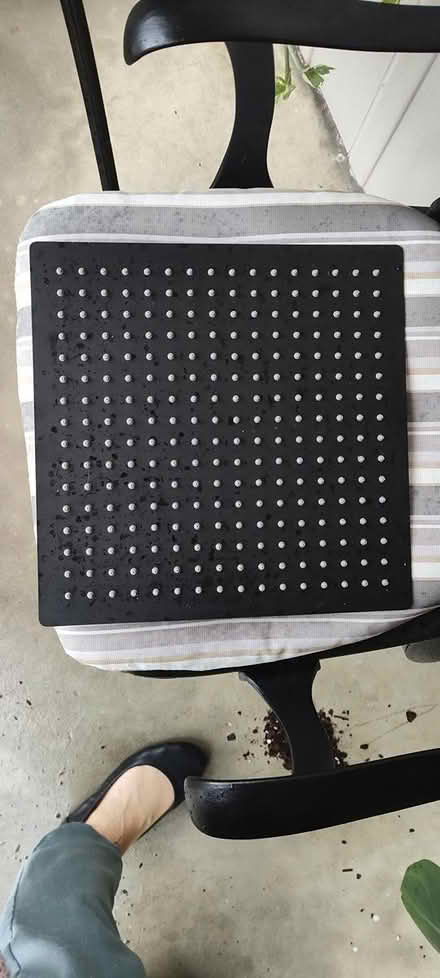 Photo of free Rain Shower Head (23602) #2