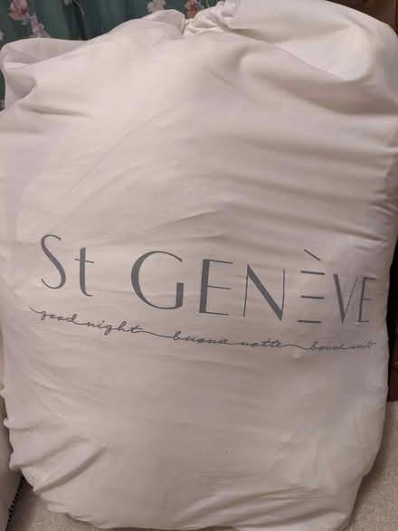 Photo of free double bed mattress topper (Don Mills and Steeles) #1