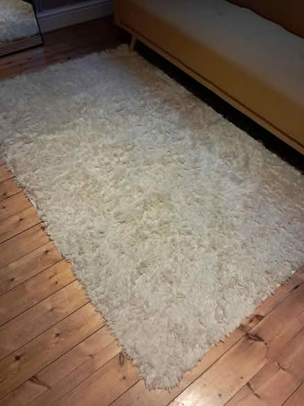 Photo of free Shaggy rug (Chorleywood, WD3) #1