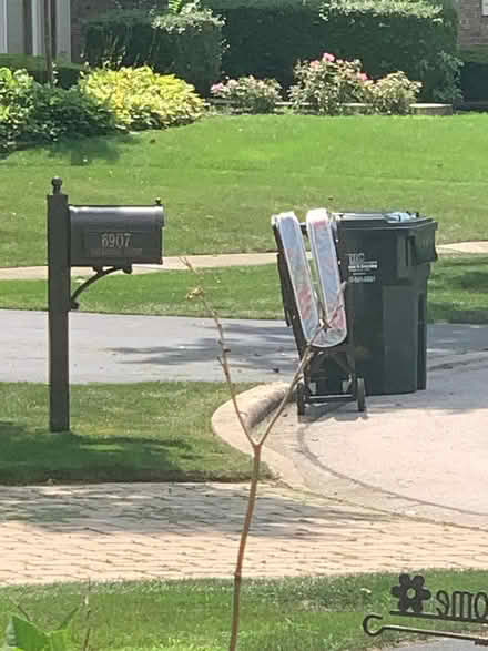 Photo of free Fold Up Bed at curb (SE Downers Grove) #1