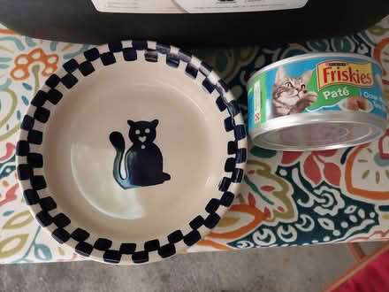 Photo of free Cat items (Palo Alto, Ventura) #3