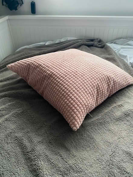 Photo of free Pink cushion (Harpenden AL5) #1