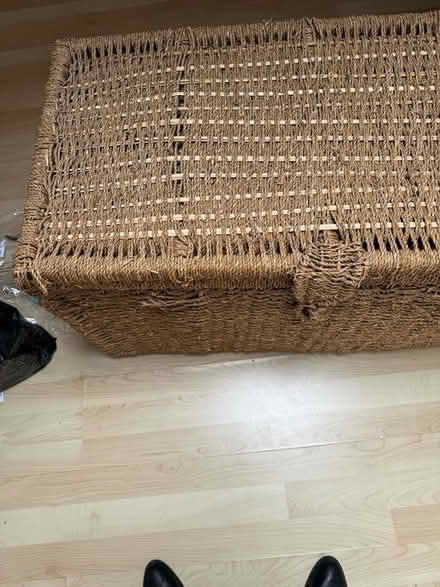 Photo of free Large Sea grass trunk (PR9 (PR9 (PR9 (Churchtown)) #1