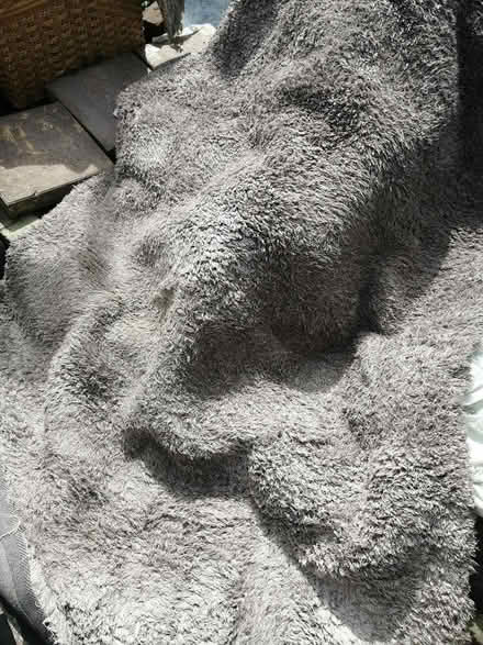 Photo of free Rug (Gillingham Kent) #1