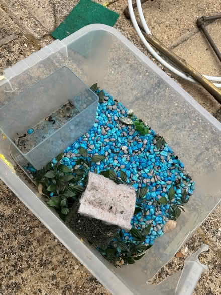 Photo of free Fish tanks x2 (east ham newham) #2
