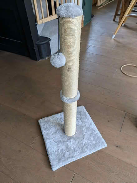 Photo of free Cat scratch post (Earwig Corner BN7) #1