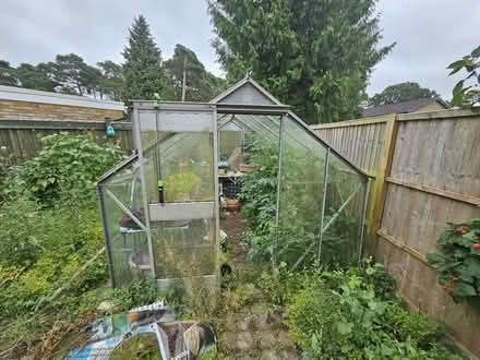Photo of free Greenhouse (Burghfield Common (RG7)) #2