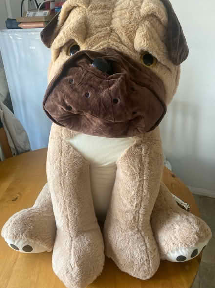 Photo of free Huge teddy (OX4) #1
