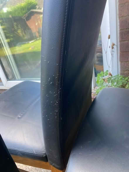 Photo of free Four dining chairs (Shirley B90) #3