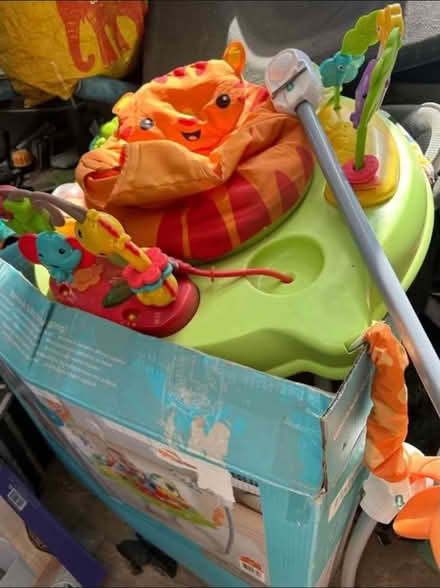Photo of free Junperoo (Keighley BD21) #2