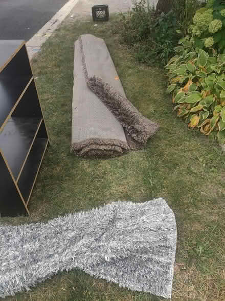 Photo of free Rugs (SE Aurora) #1