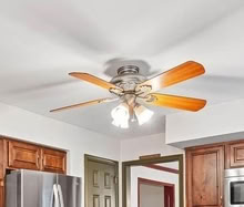 Photo of free 52" Ceiling fan (Glasgow, Bear, DE) #1