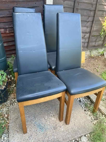 Photo of free Four dining chairs (Shirley B90) #1