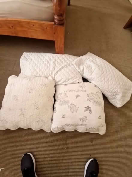 Photo of free Large cushions and normal pillow all with cases (Stockport SK3) #1