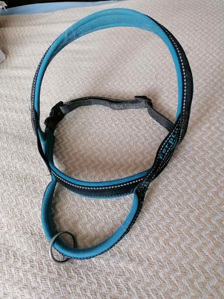 Photo of free Dog harness (Horsham) #2