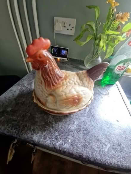 Photo of free Chicken pottery egg basket (Stockport SK3) #1