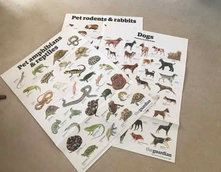 Photo of free Large posters (Radlett WD7) #2