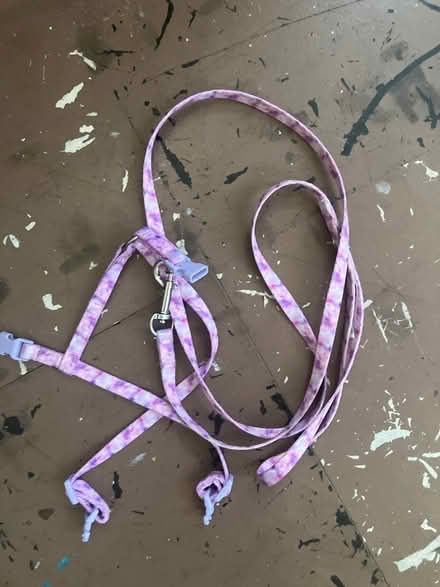 Photo of free Cat harness and leash XS (Jack London Square) #1