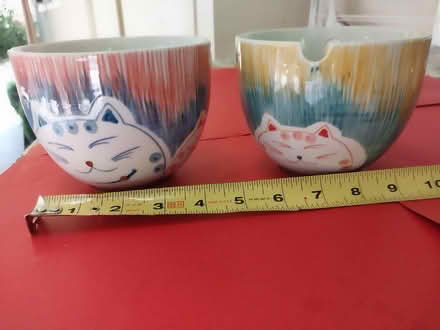 Photo of free noodle bowls (Palo Alto, Ventura) #2