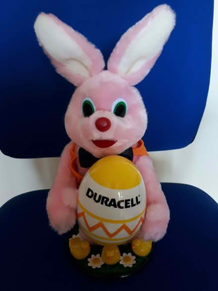 Photo of free easter bunny (Salcombe Avenue ST17) #1