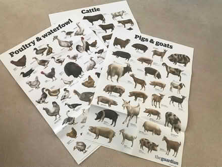 Photo of free Large posters (Radlett WD7) #3