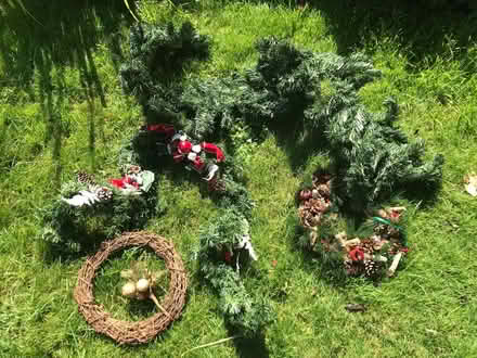 Photo of free Various Christmas wreaths & garlands (Farlington PO6) #1