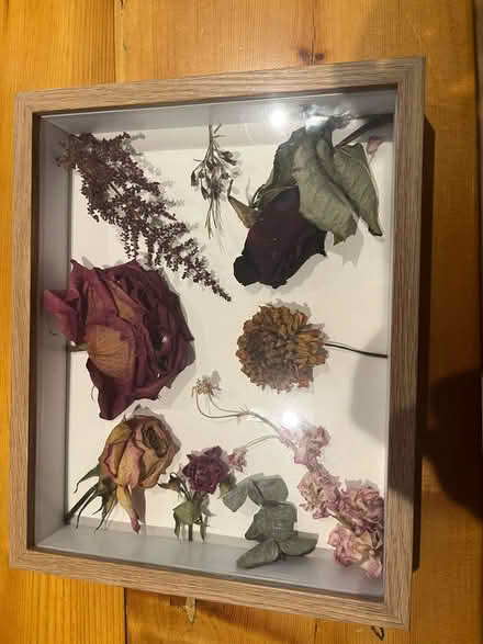 Photo of free Shadow box frame (Warwick (Nelson Lane) CV34) #1