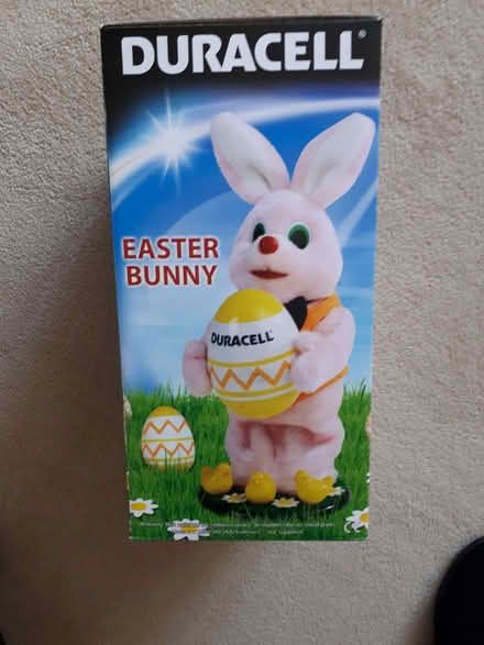 Photo of free easter bunny (Salcombe Avenue ST17) #2