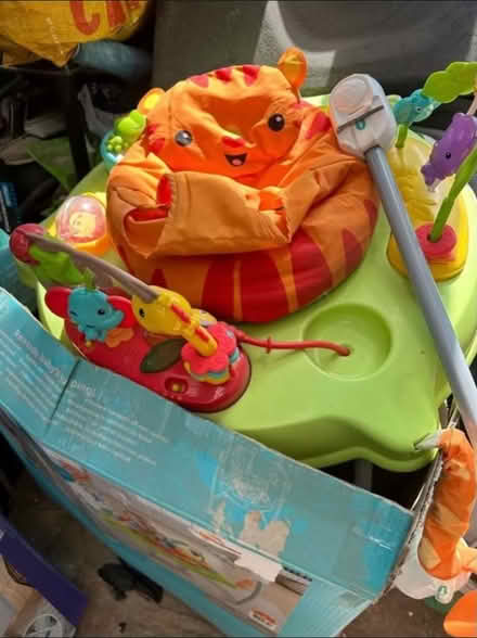 Photo of free Junperoo (Keighley BD21) #1