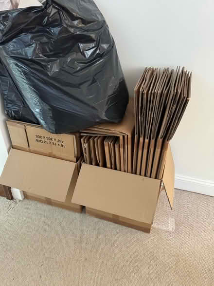 Photo of free Packing boxes and paper (Berkhamsted) #3